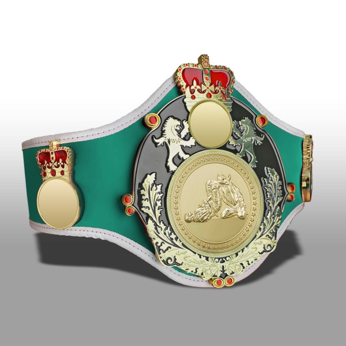 QUEENSBURY PRO LEATHER JIU JITSU CHAMPIONSHIP BELT - QUEEN/B/G/JJG -10+ COLOURS